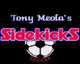 Tony Meola's Sidekick Soccer (1993)