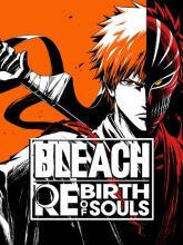 Bleach Rebirth of Souls