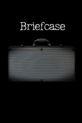 Briefcase on PC (Steam) Briefcase
