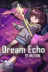 DreamEcho on PC (Steam) DreamEcho