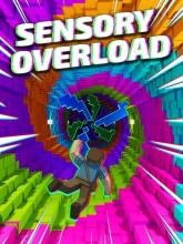 Sensory Overload on PC (Steam) Sensory Overload